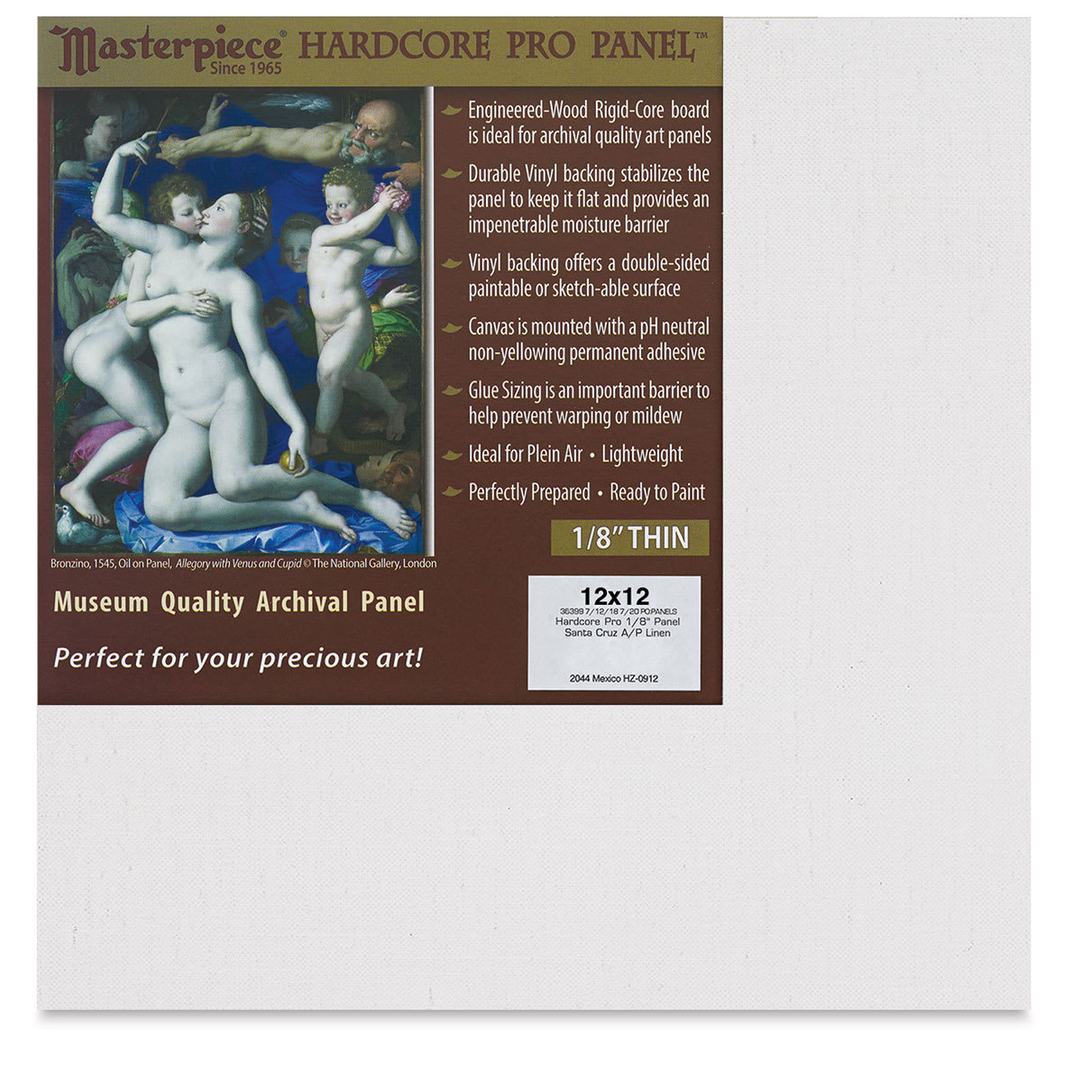 Masterpiece Santa Cruz Hardcore Pro Canvas Panel - 12" x 12"
