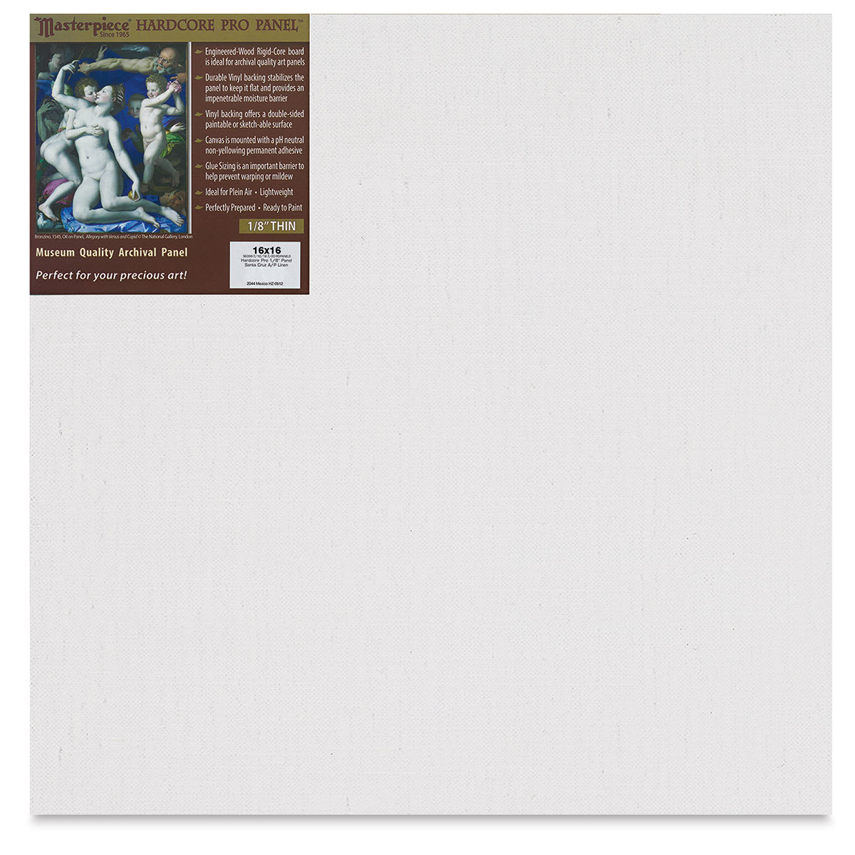 Masterpiece Santa Cruz Hardcore Pro Canvas Panel - 16" x 16"
