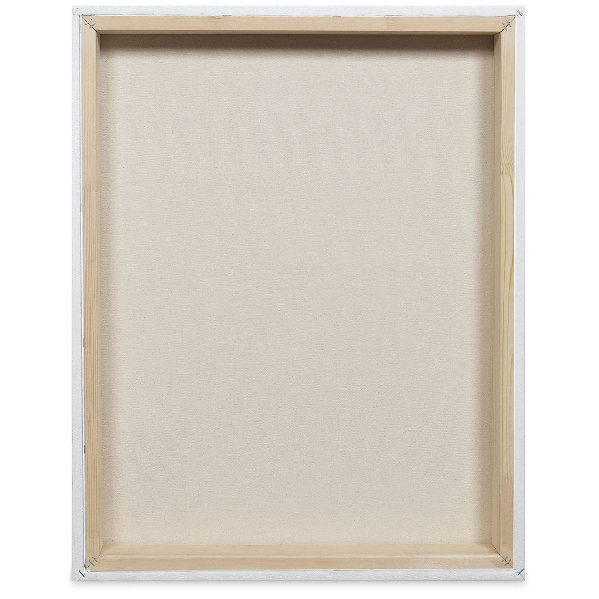 Blick Premier Stretched Cotton Canvas - Museum Profile, Splined, 24" x 30", back