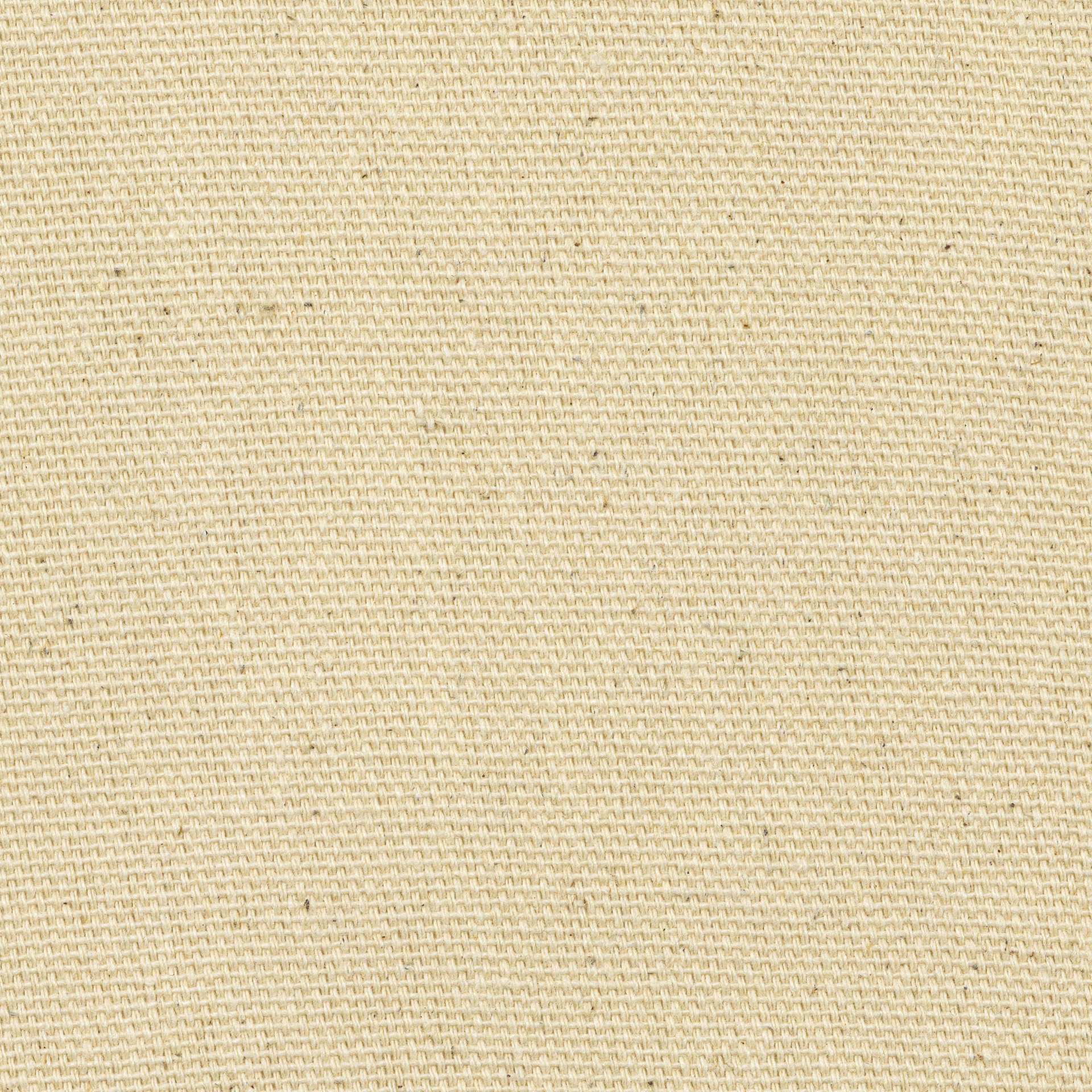 Blick Medium-Weight Unprimed Cotton Canvas by the Yard - 64-1/2" x 1 yard, close-up of canvas