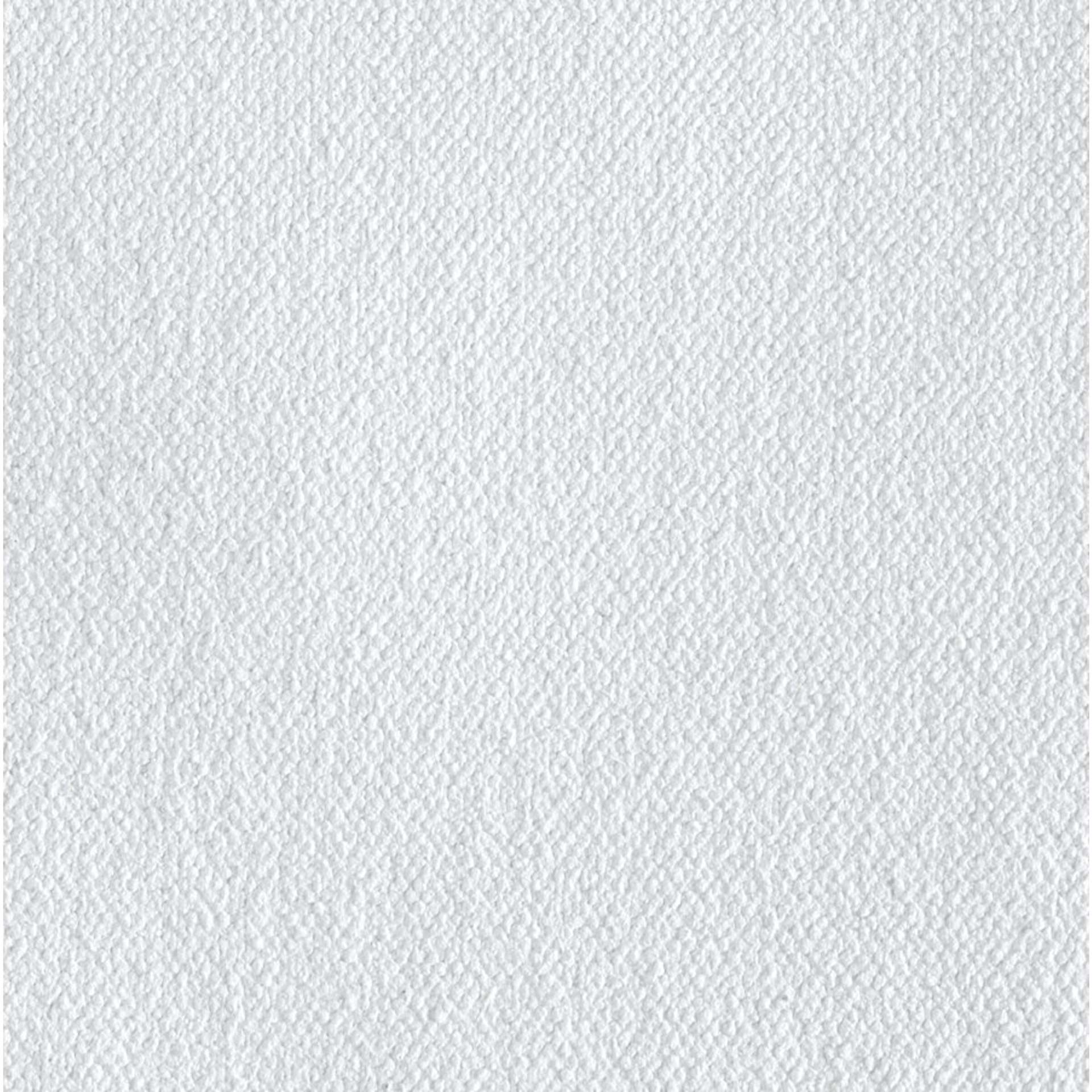Fredrix Dixie Canvas Roll - 54" x 6 yards, Acrylic Primed
