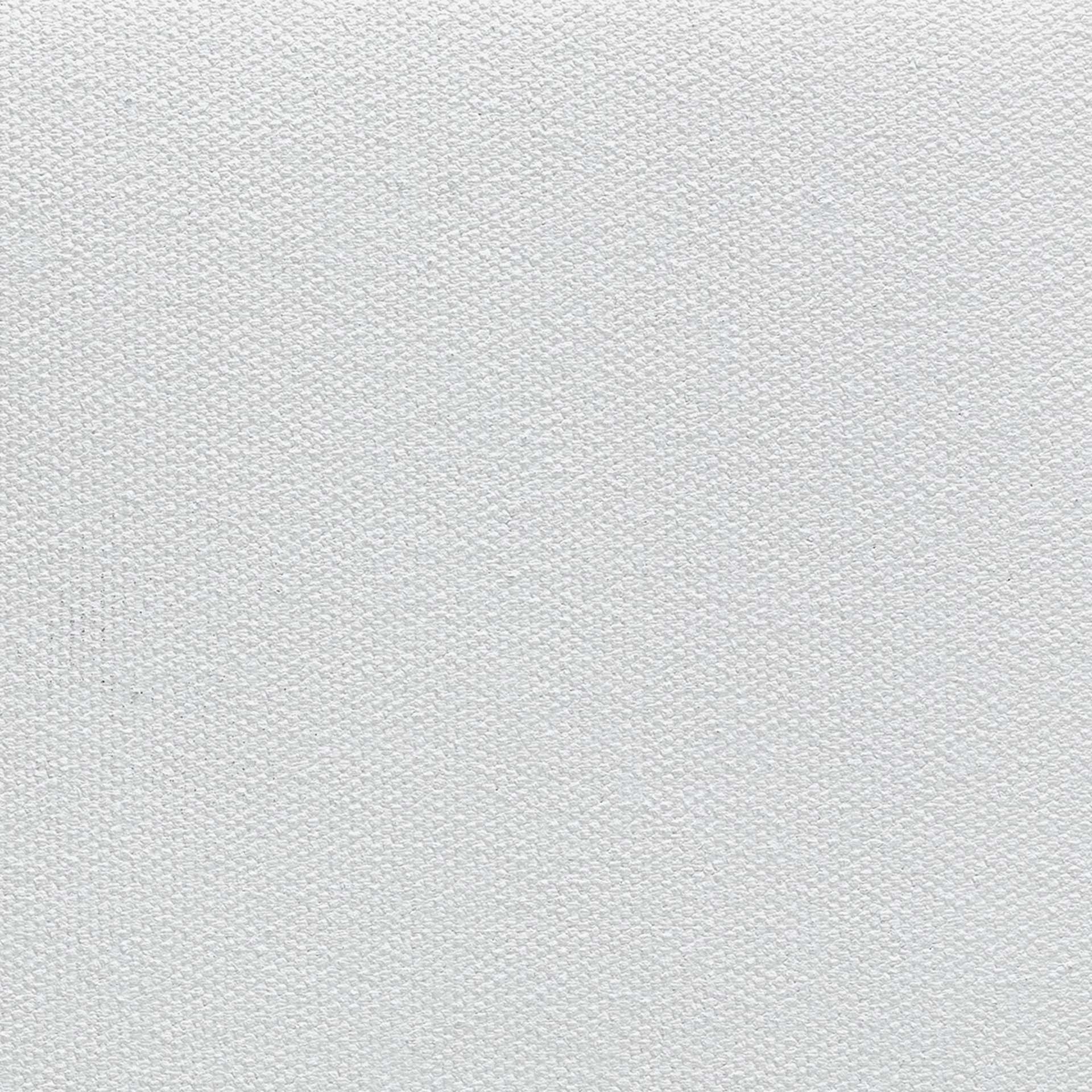 Fredrix Style 569 Dallas Cotton Canvas Roll - 64-1/2" x 6 yds, Acrylic Primed