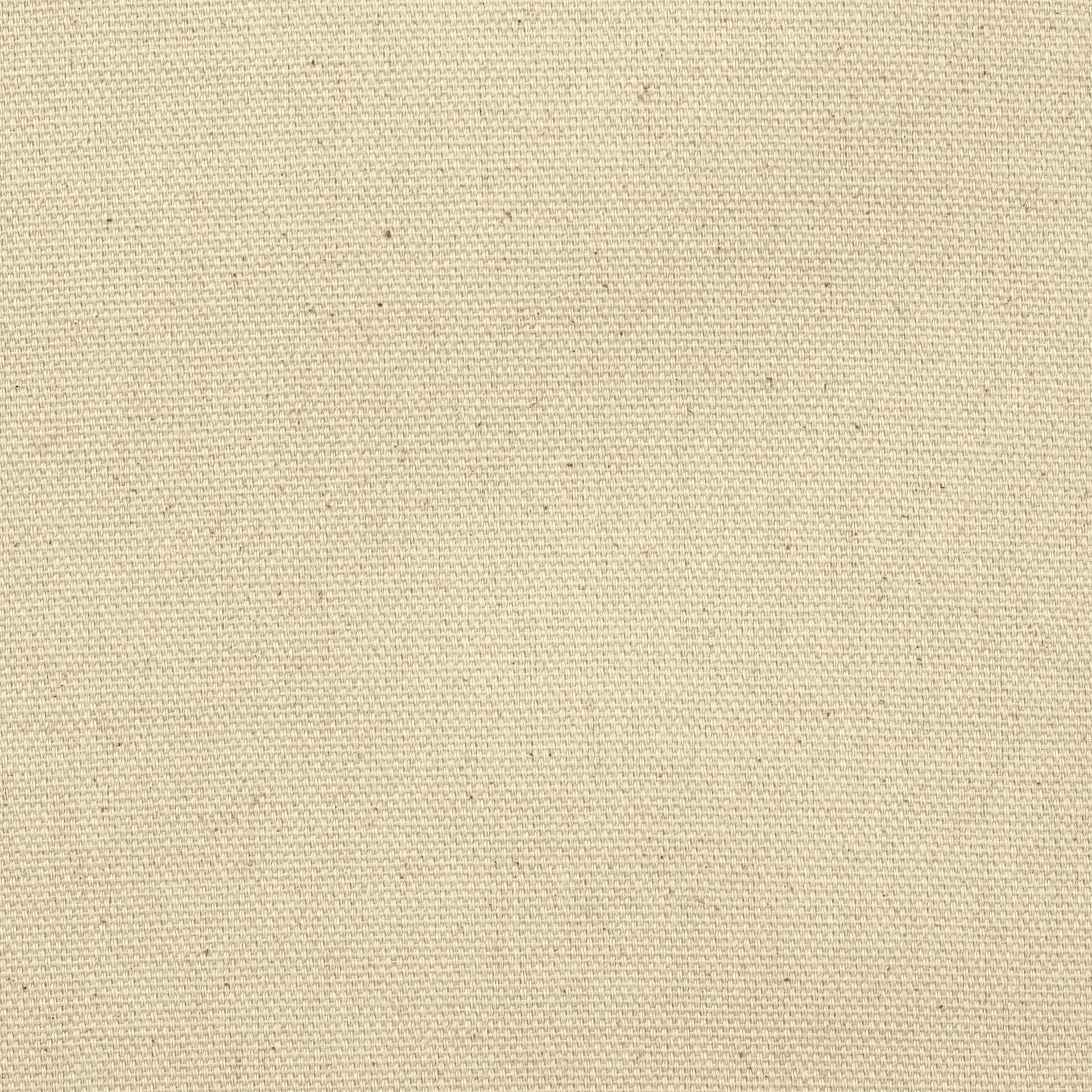 Blick Unprimed Cotton Canvas - Lightweight, Fine Texture, 7oz, 72" x 10 yds close-up of canvas surface