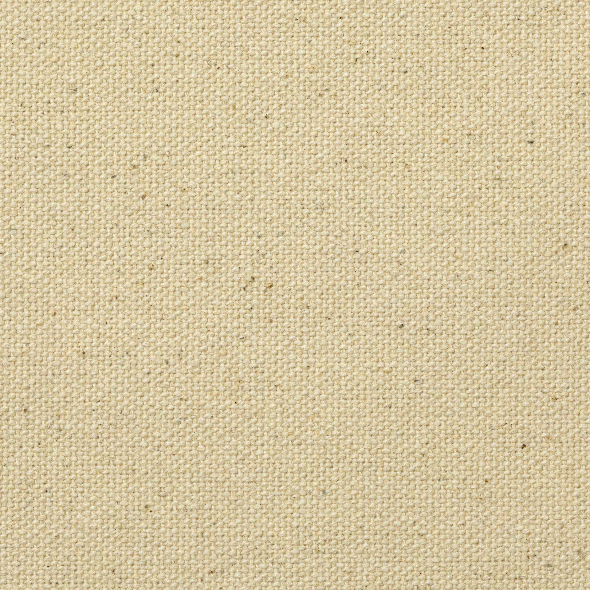 Blick Unprimed Cotton Canvas - Medium Weight, Medium-Smooth Texture, 120" x 4 yds, close-up of canvas