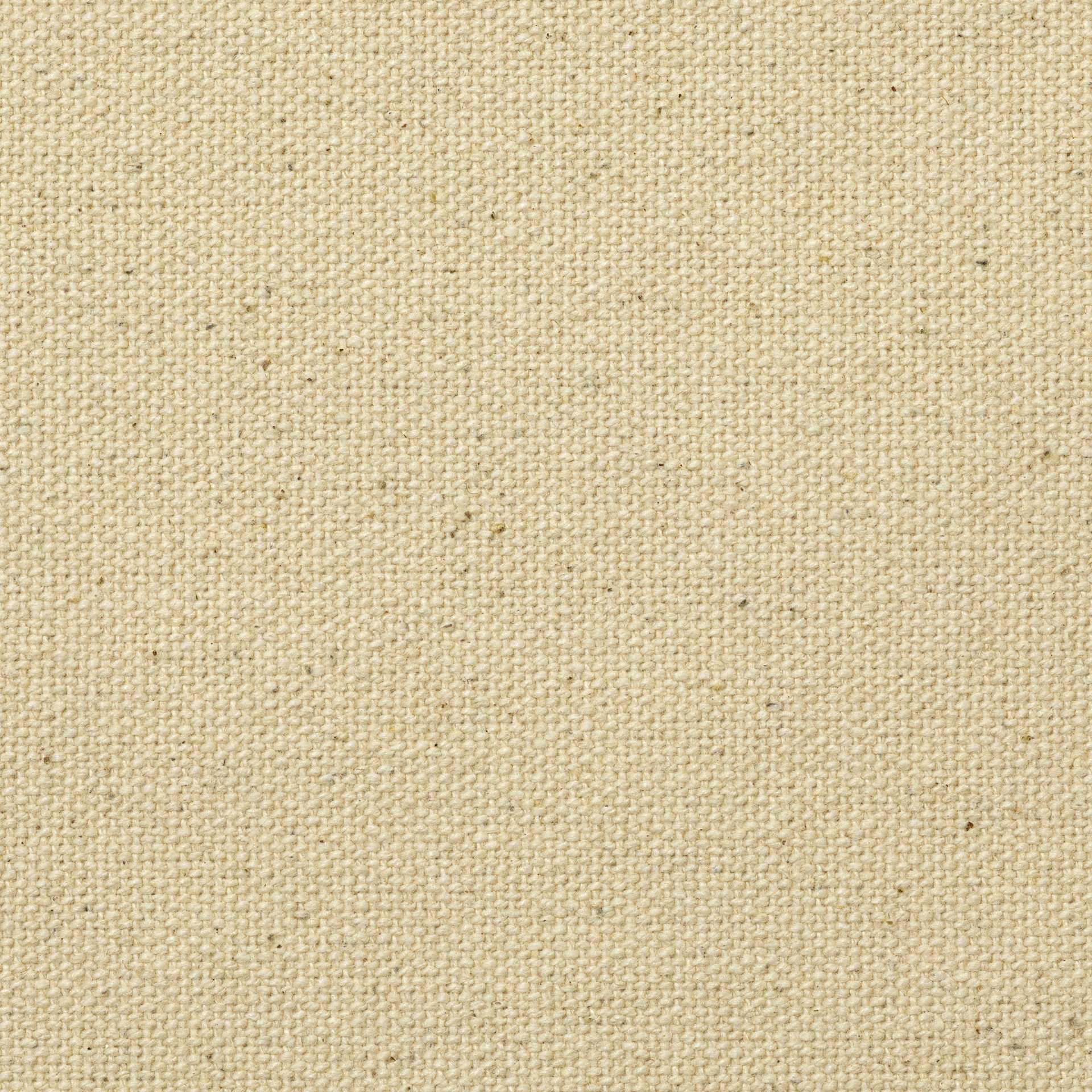 Blick Unprimed Cotton Canvas - Medium Weight, Medium-Smooth Texture, 120" x 50 yds, close-up of canvas