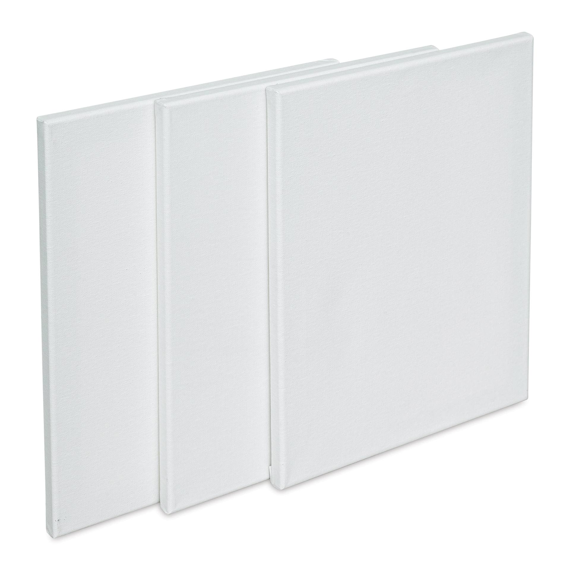 Liquitex Basics Stretched Cotton Canvas Pack - 11" x 14", Pkg of 3 (Out of packaging, front of canvas) Liquitex Basics Stretched Cotton Canvas Pack - 11" x 14", Pkg of 3 (Out of packaging, front of canvas)