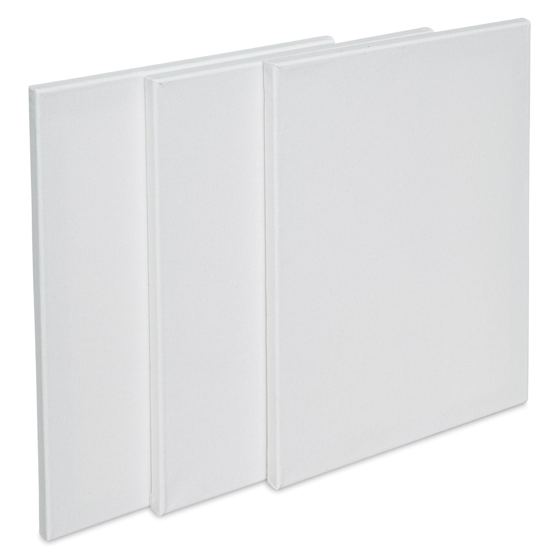 Liquitex Basics Stretched Cotton Canvas Pack - 12" x 16", Pkg of 3 (Out of package)