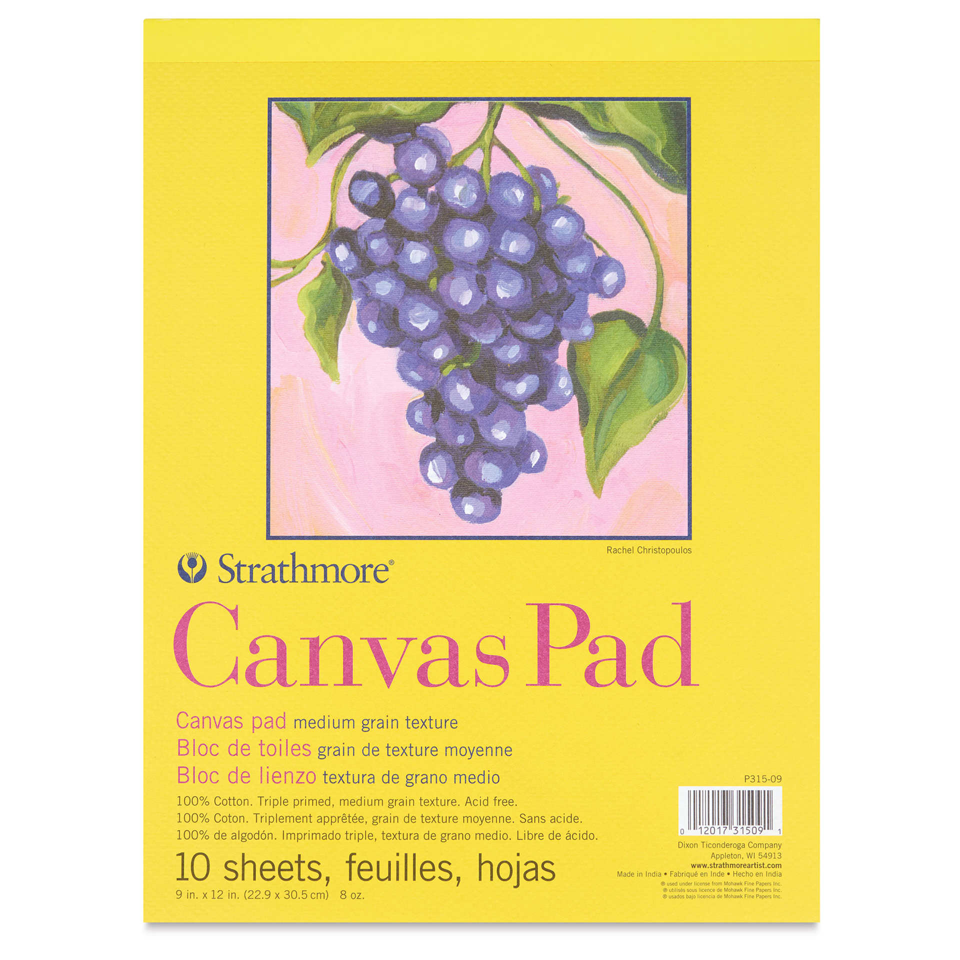 Strathmore 300 Series Cotton Canvas Pad - 9" x 12", 10 Sheets Strathmore 300 Series Cotton Canvas Pad - 9" x 12", 10 Sheets