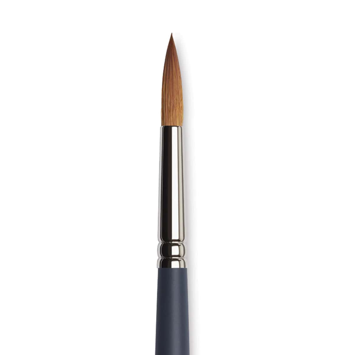 Winsor & Newton Professional Watercolor Synthetic Sable Brush - Round, Size 10, Short Handle (close-up)