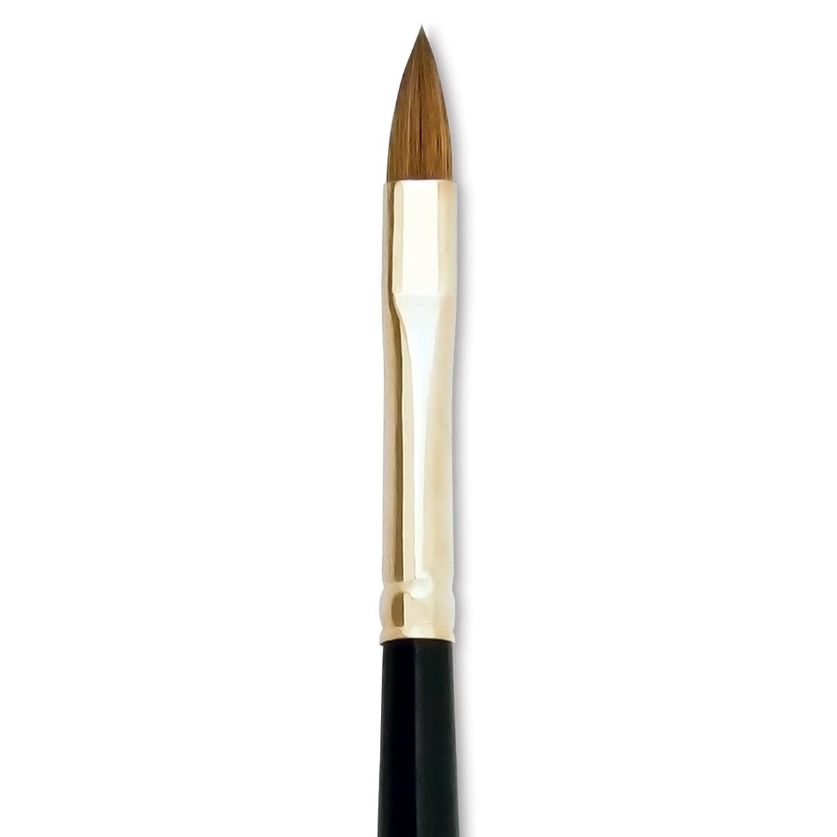 Silver Brush Renaissance Red Sable Brush - Cat's Tongue, Short Handle, Size 6 close up