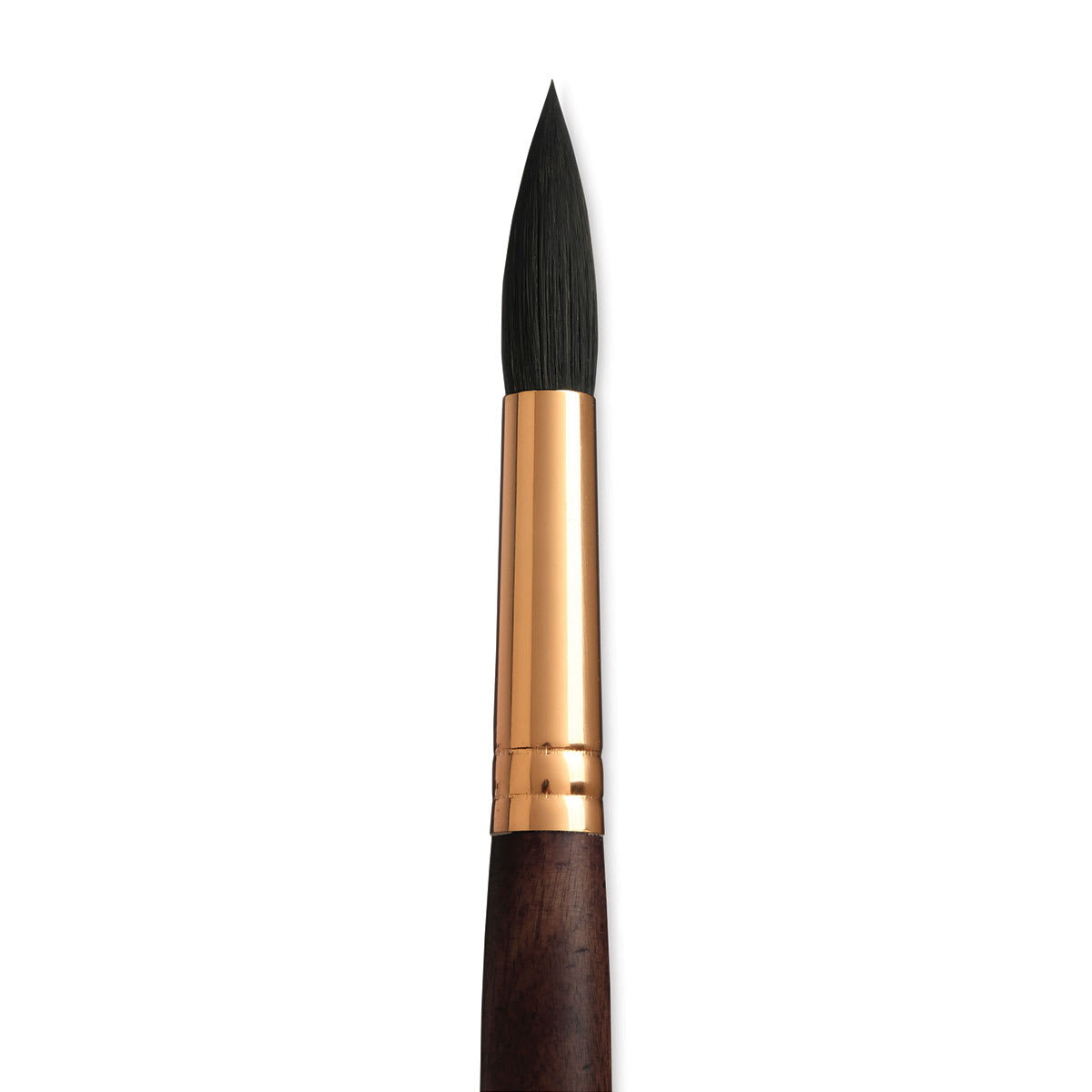 Princeton Neptune Synthetic Squirrel Brush - Round, Short Handle, Size 16 close up