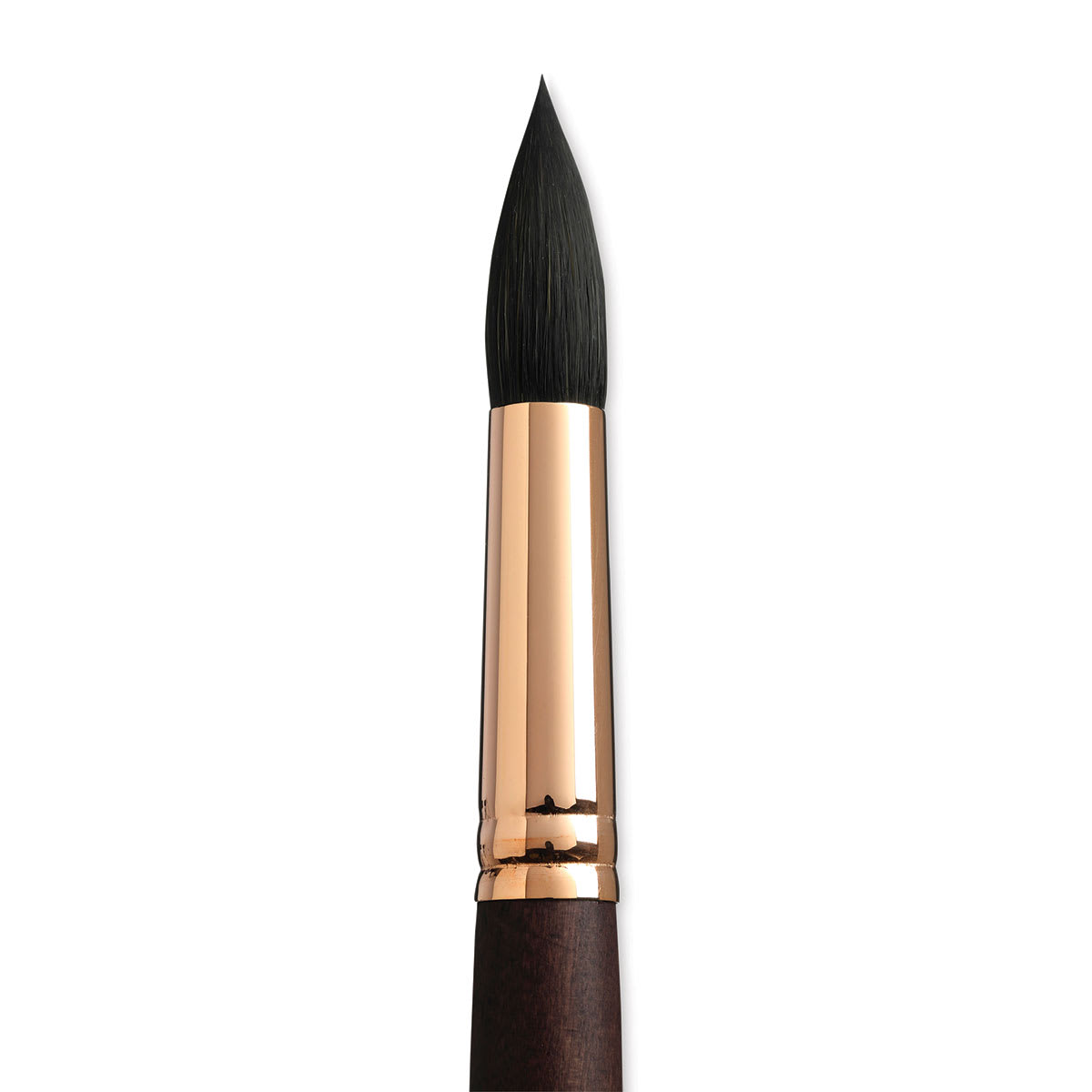 Princeton Neptune Synthetic Squirrel Brush - Round, Short Handle, Size 18 close up