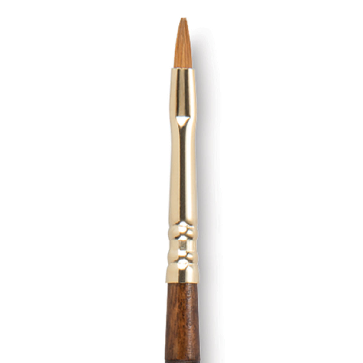 Escoda Reserva Kolinsky-Tajmyr Sable Brush - Bright, Short Handle, Size 2 (close-up)