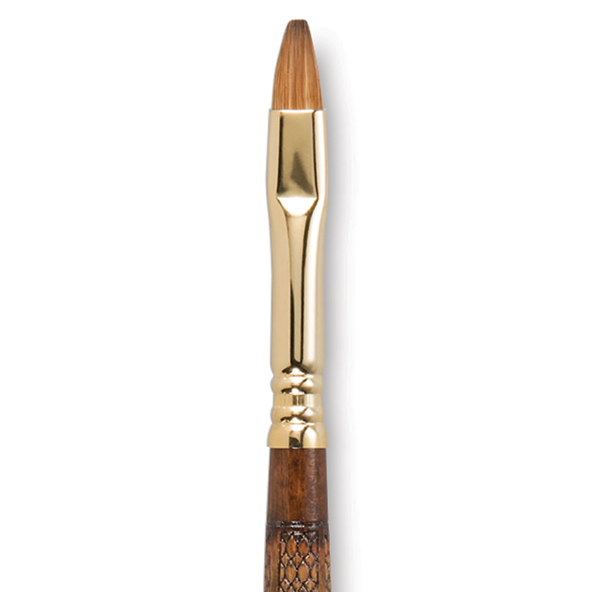 Escoda Reserva Kolinsky-Tajmyr Sable Brush - Bright, Short Handle, Size 8 (close-up)