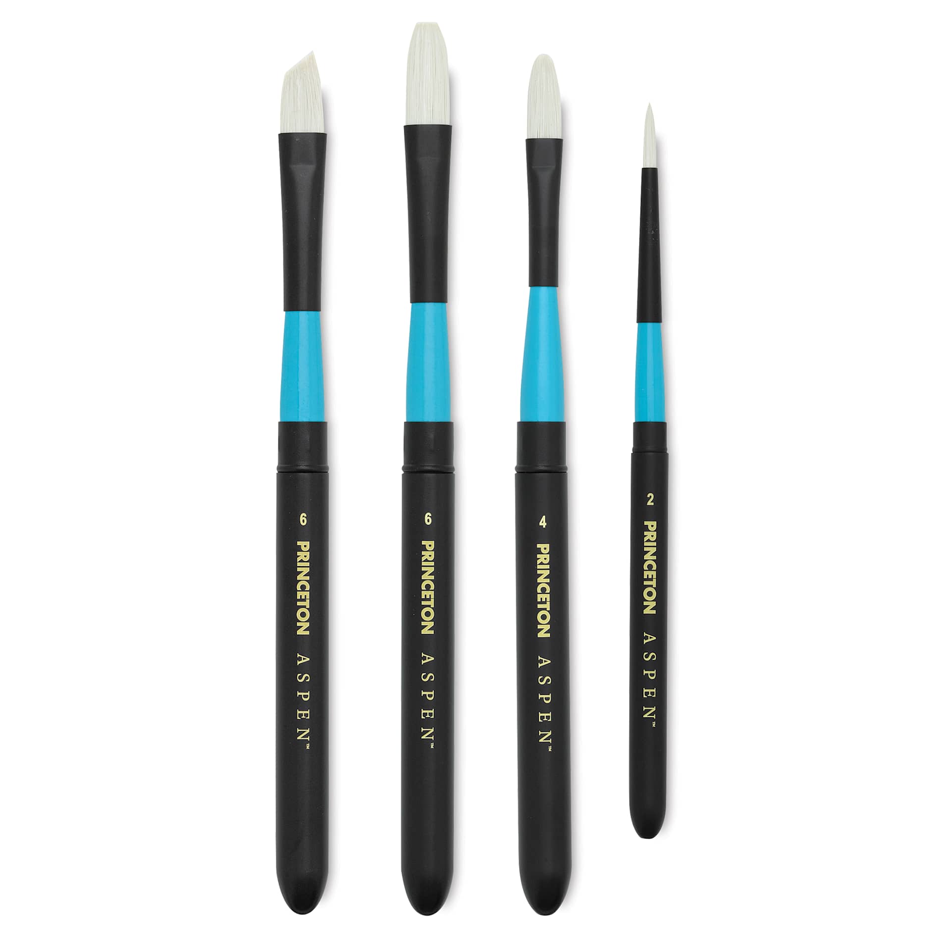 Princeton Aspen Series 6500 Synthetic Travel Brushes available in 4 shapes Princeton Aspen Series 6500 Synthetic Travel Brushes available in 4 shapes