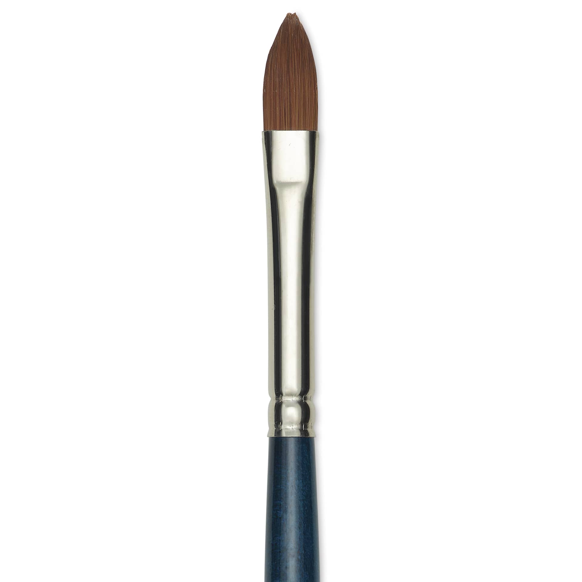 Silver Brush BelleAqua Brush - Cats Tongue, Short Handle, Size 8, close-up