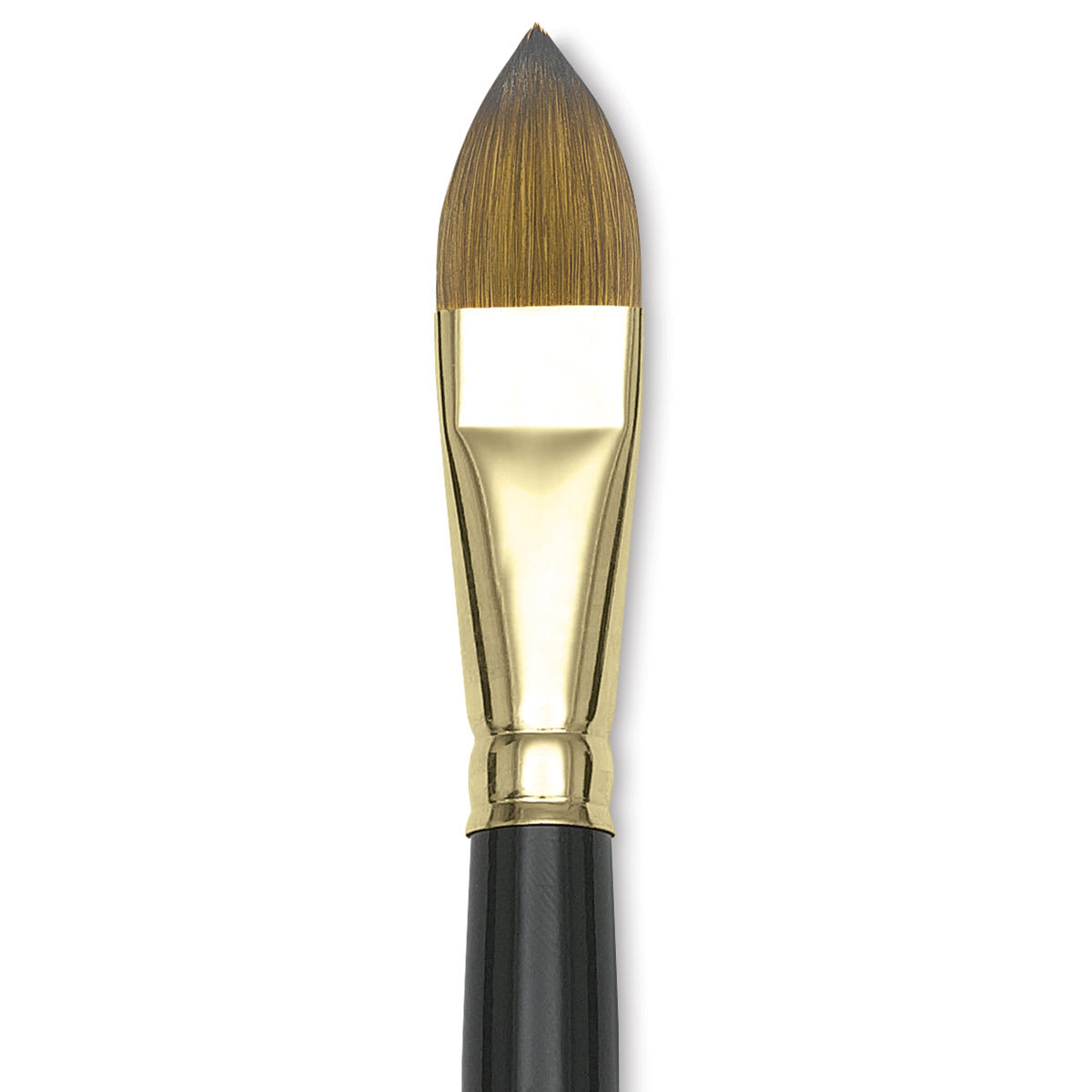 Silver Brush Renaissance Red Sable Brush - Cat's Tongue, Long Handle, Size 20 close up