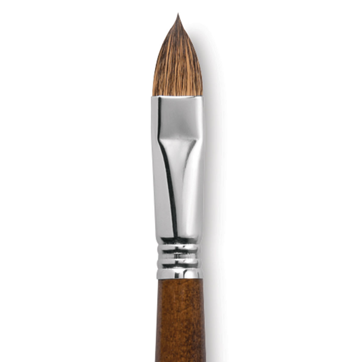 Escoda Versatil Brush - Filbert, Size 16, Long Handle close up