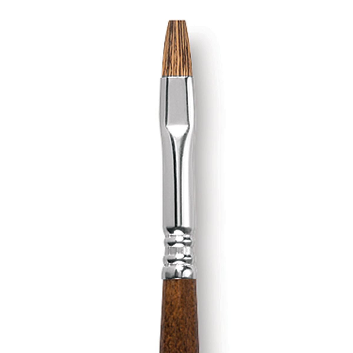 Escoda Versatil Brush - Bright, Size 8, Long Handle close up