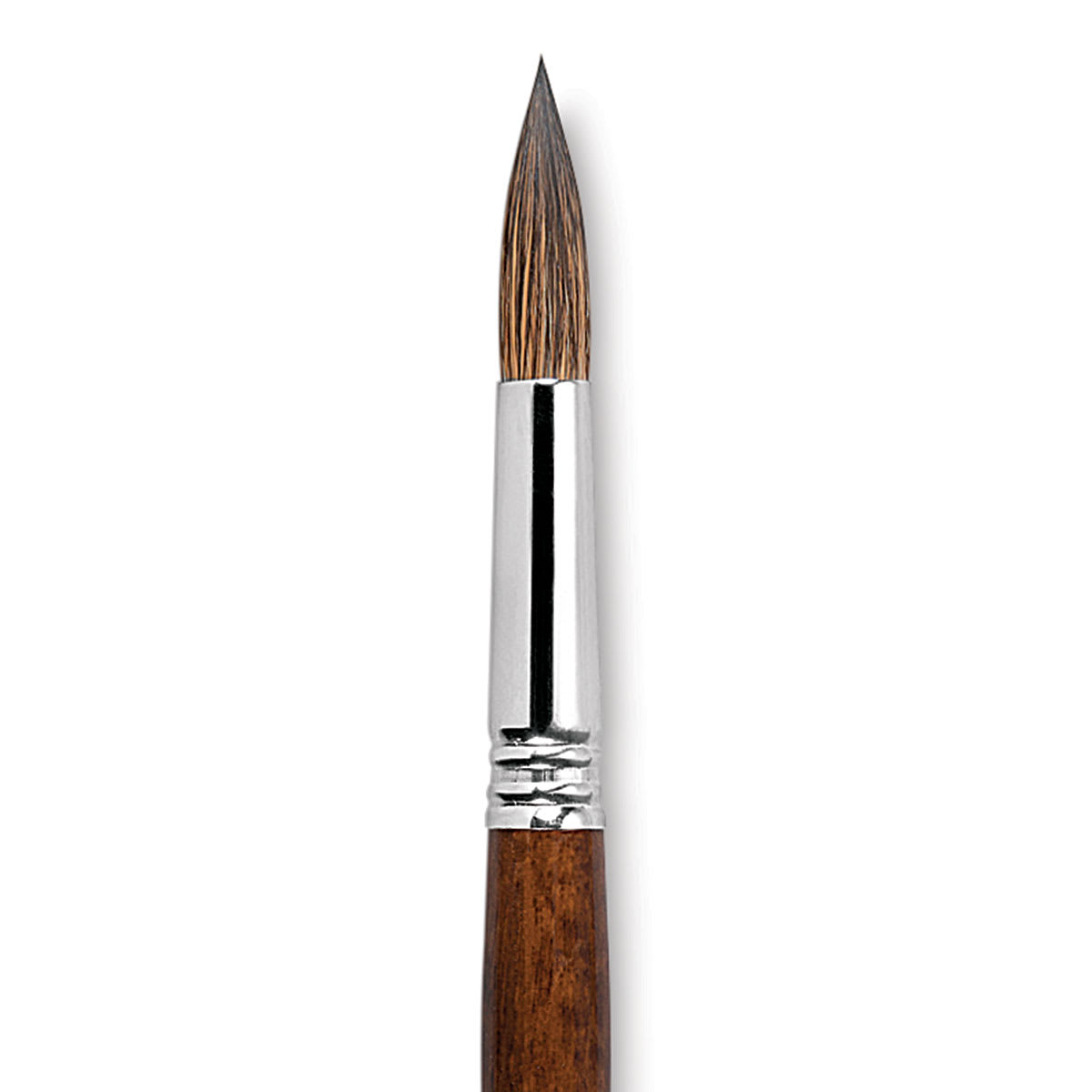Escoda Versatil Brush - Pointed Round, Size 16, Short Handle close up