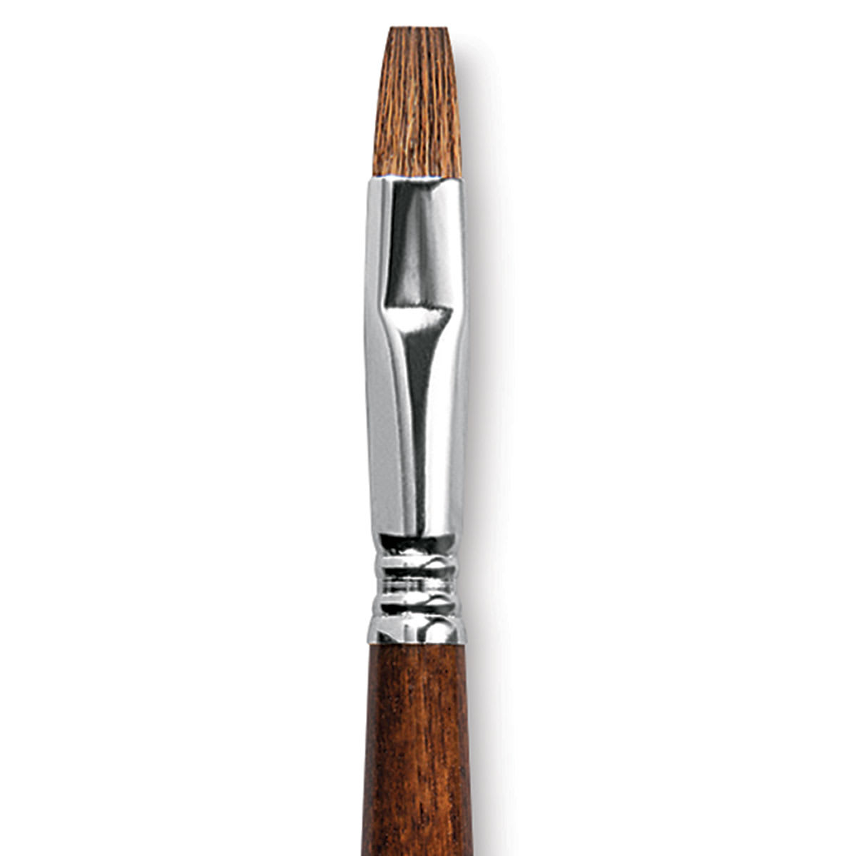 Escoda Versatil Brush - Bright, Size 12, Short Handle close up