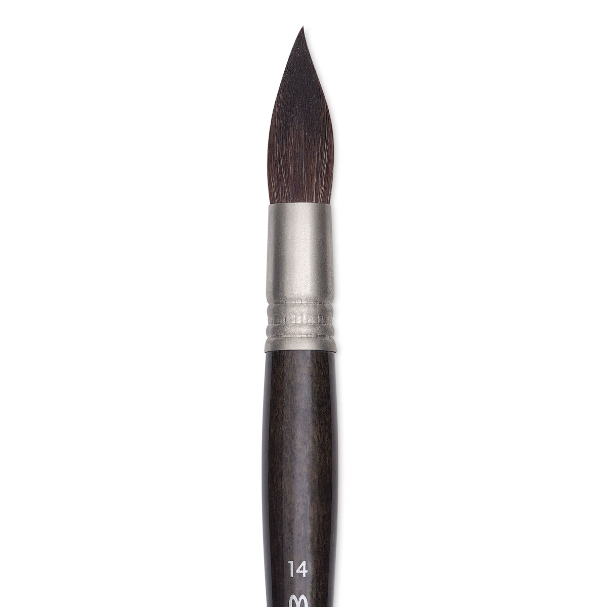 Escoda Último Synthetic Squirrel Brush -  Mop, Size 14 (close-up)