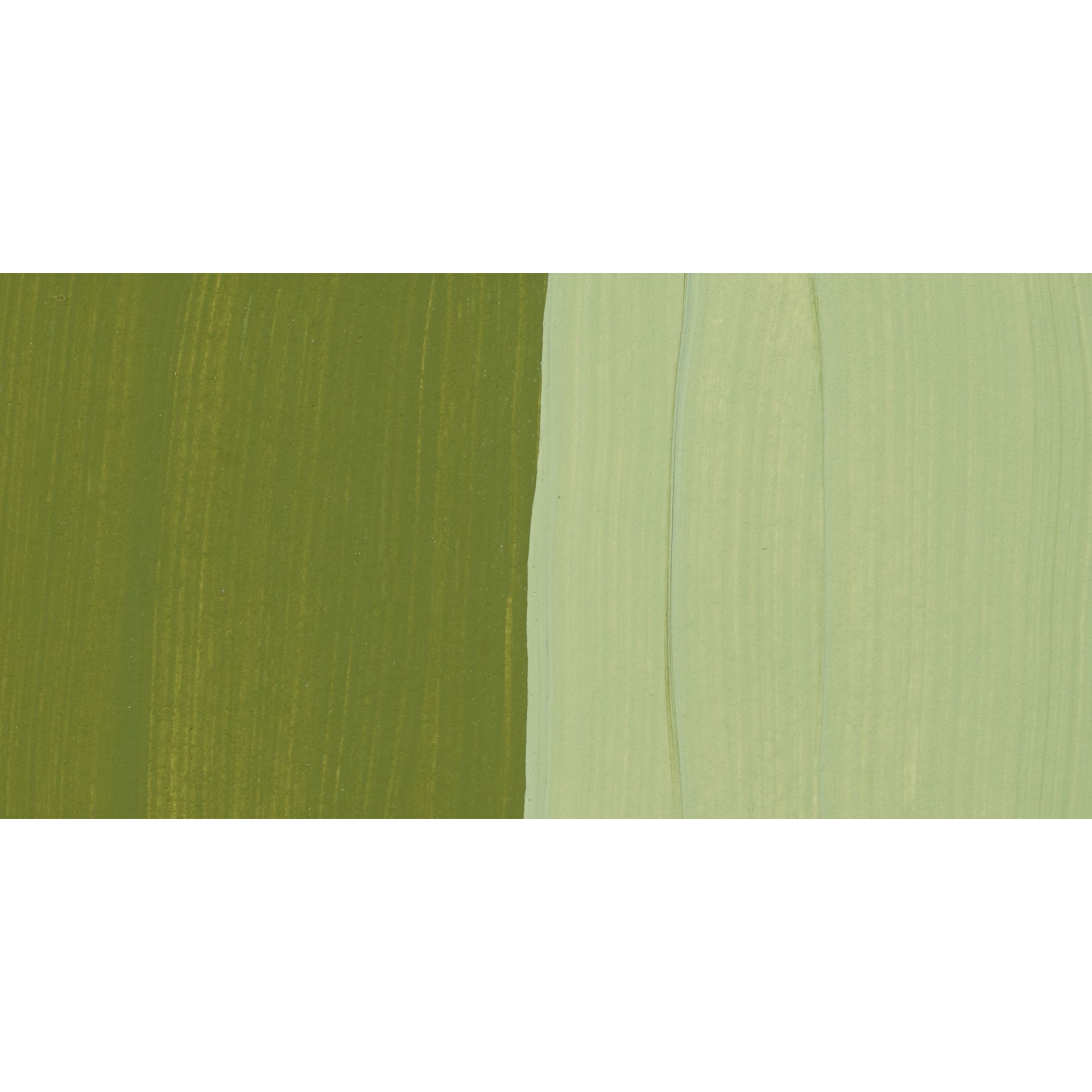 Chroma's Jo Sonja Color Trends Acrylic Paint - Leaf - Swatch