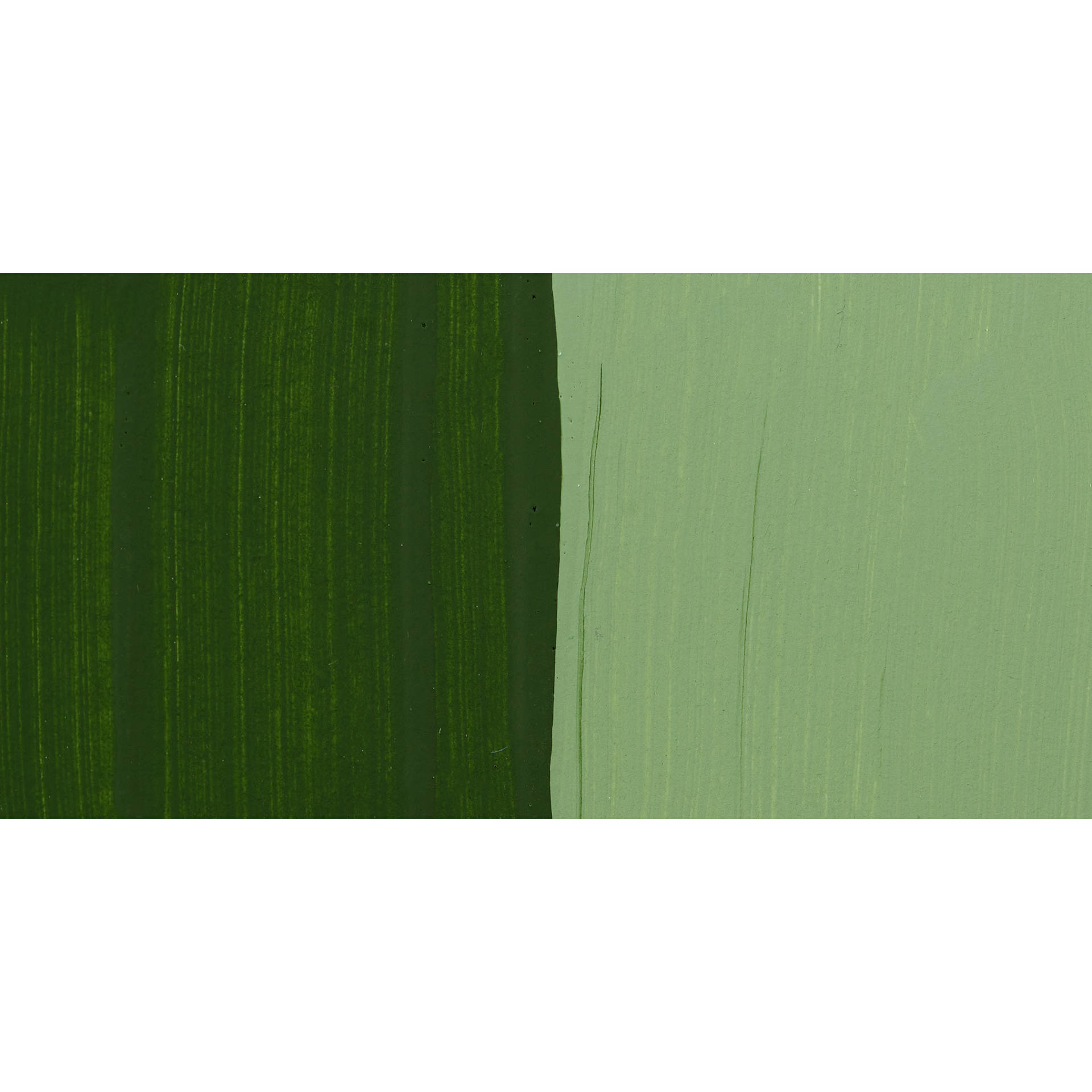 Chroma's Jo Sonja Color Trends Acrylic Paint - Tarragon - Swatch
