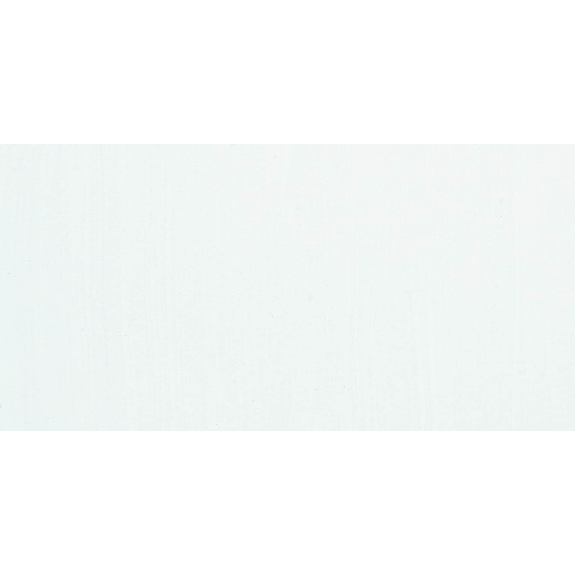 Testors Craft Acrylic Paint - White swatch