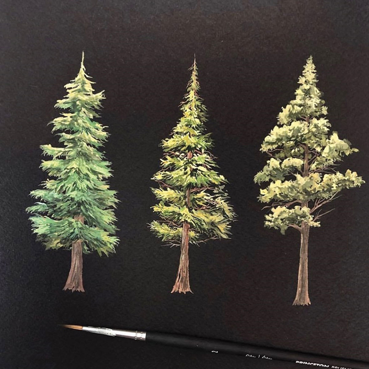 Legion Stonehenge Aqua Black Watercolor Paper Pads (Artwork of trees by Rosa F.) Legion Stonehenge Aqua Black Watercolor Paper Pads (Artwork of trees by Rosa F.)