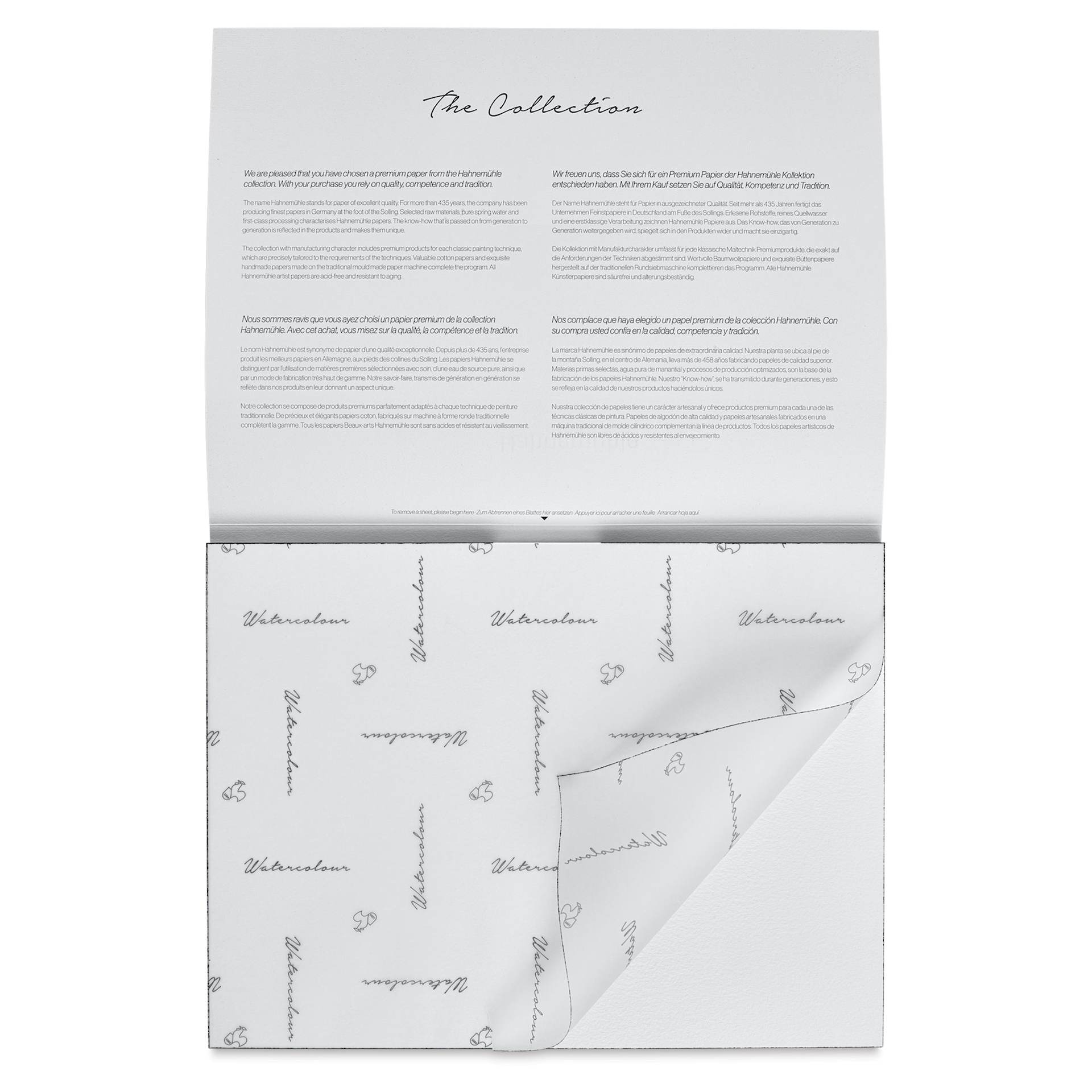 Hahnemühle The Collection Watercolor Block - Rough, 9.4" x 12.6", 140 lb, 10 Sheets cover sheet on block