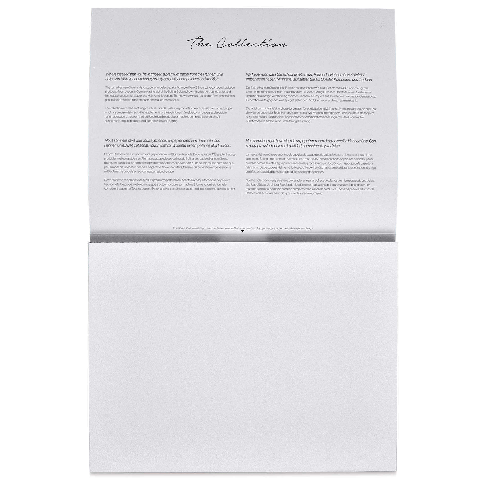 Hahnemühle The Collection Watercolor Block - Rough, 9.4" x 12.6", 140 lb, 10 Sheets open to first page