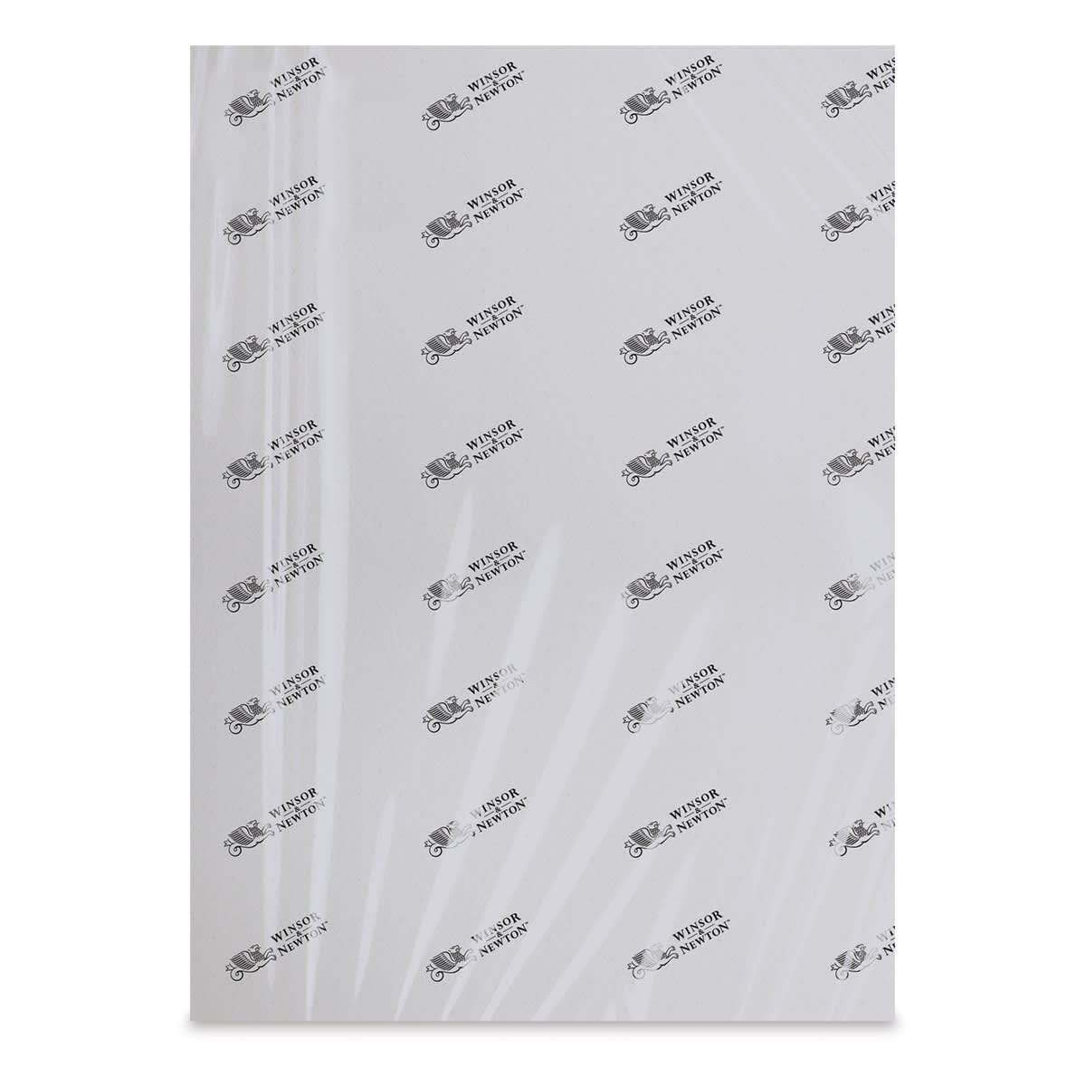 Winsor & Newton Professional Watercolor Paper - 22" x 30", Cold Press, 300 lb (shown in package)