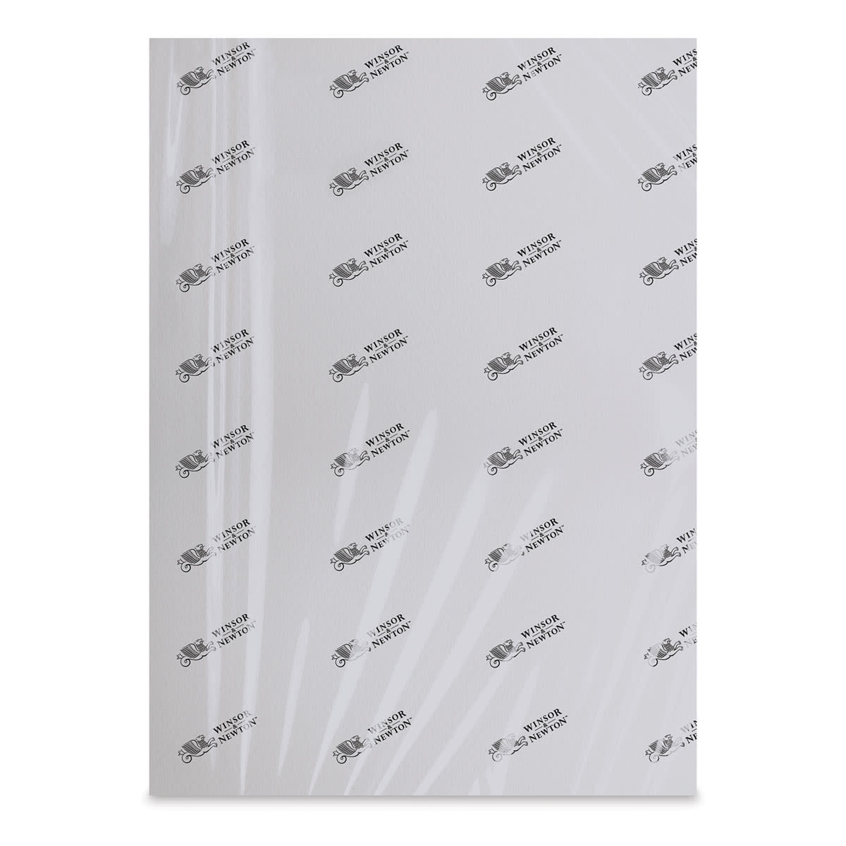 Winsor & Newton Watercolor Paper - 22" x 30", Cold Press (shown in packaging)