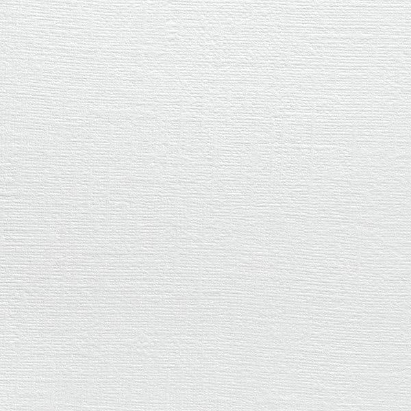 Hahnemühle Oil and Acrylic Paper Pads - Single sheet shown for color and texture
