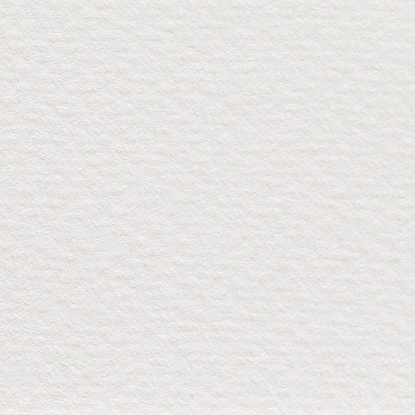 Saunders Waterford Watercolor Sheet - Single High White Rough Sheet shown for color and texture Saunders Waterford Watercolor Sheet - Single High White Rough Sheet shown for color and texture