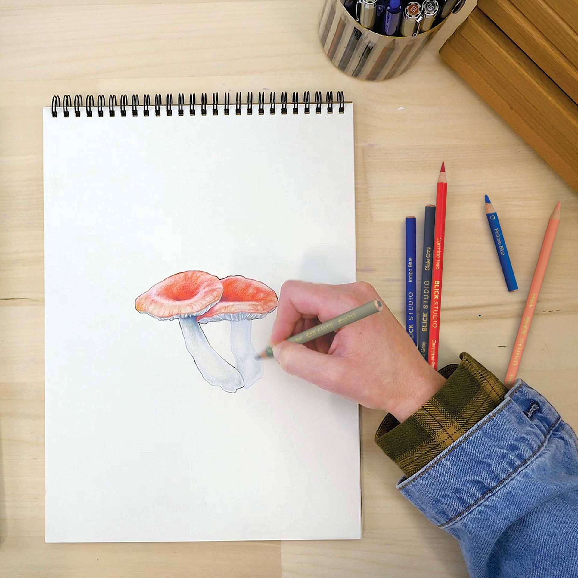 Blick Studio Drawing Pads, mushroom drawing in studio