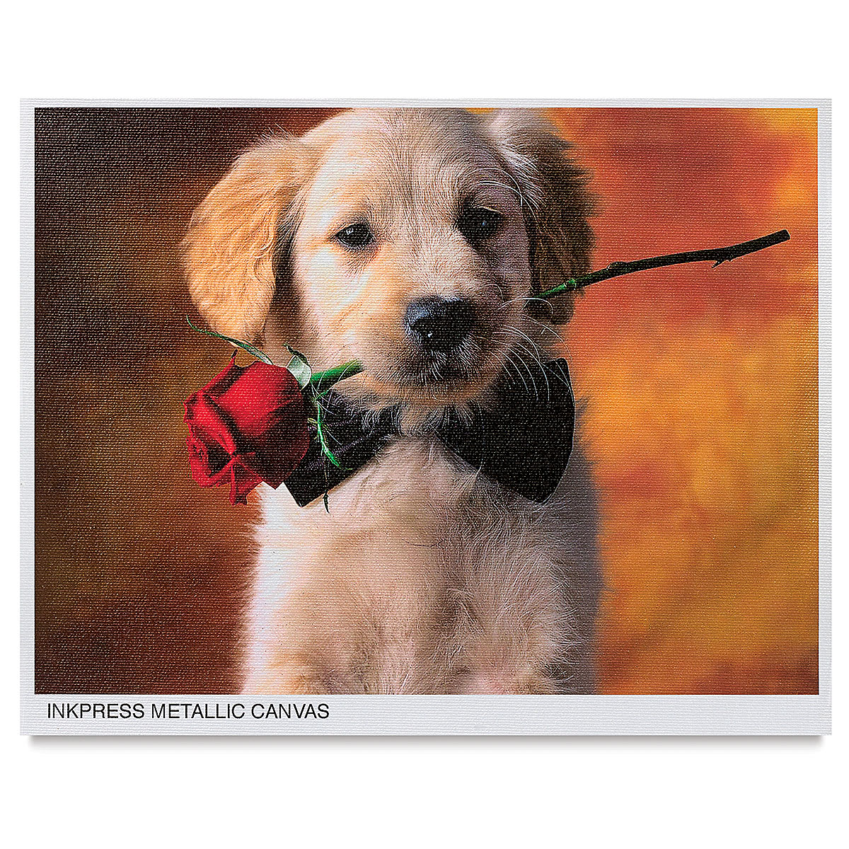 Inkpress Metallic Canvas - Finished Art of Puppy
