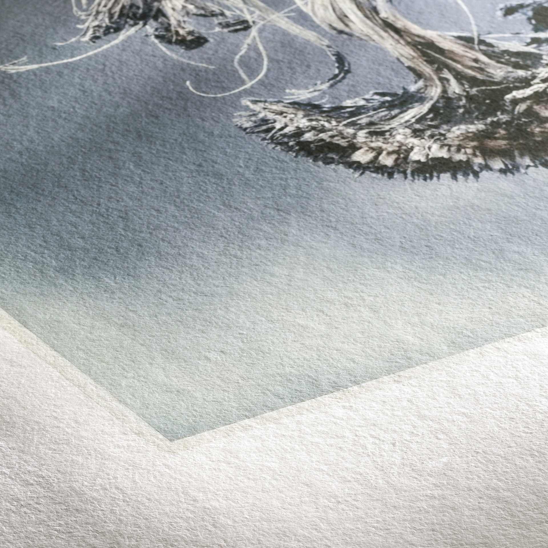Hahnemühle Museum Etching Inkjet Photo Cards (Close-up of paper with a print)