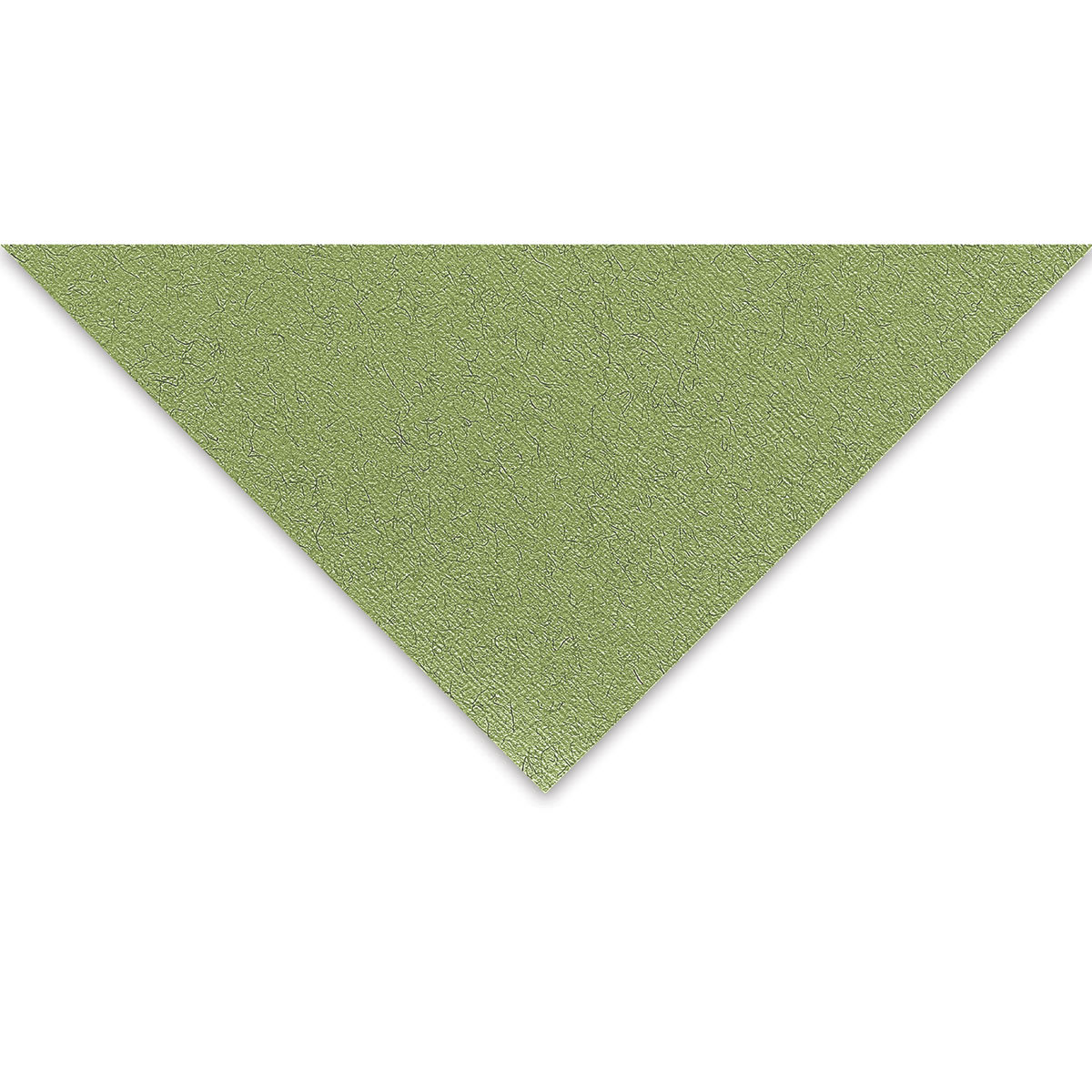 Fabriano Tiziano Paper - 19-5/8" x 25-1/2", Moss Green, Single Sheet