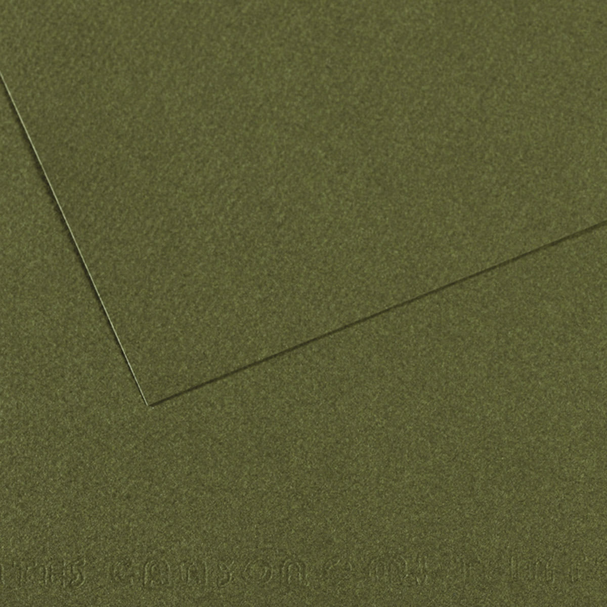 Canson Mi-Teintes Drawing Papers - 8-1/2" x 11", Ivy, 25 Sheets