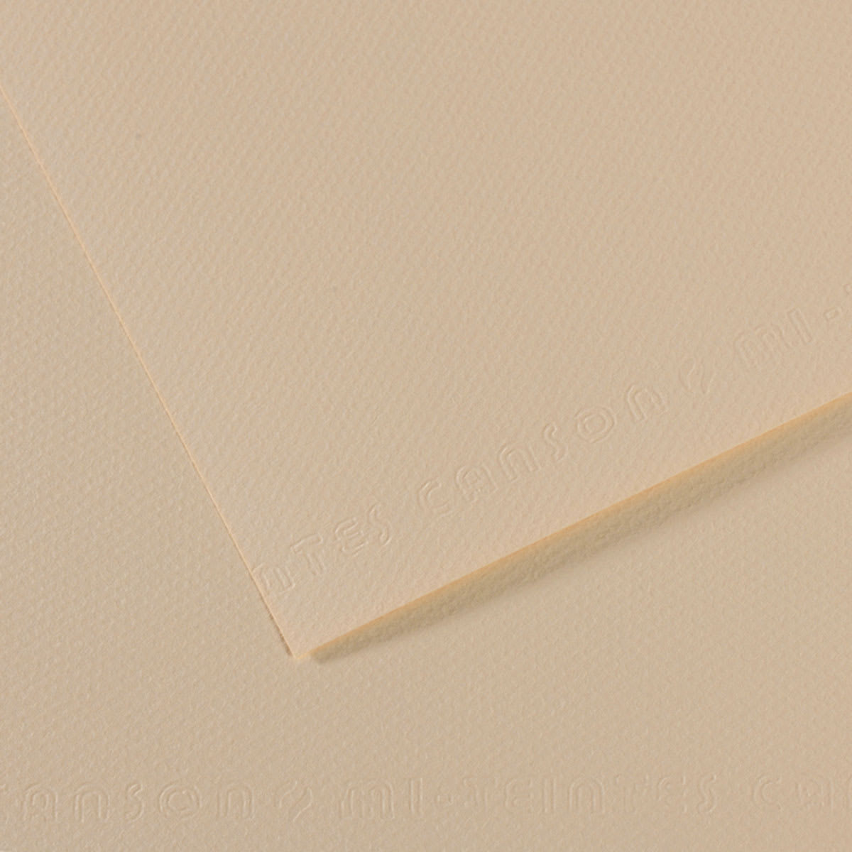 Canson Mi-Teintes Drawing Paper - 19" x 25", Eggshell, Single Sheet