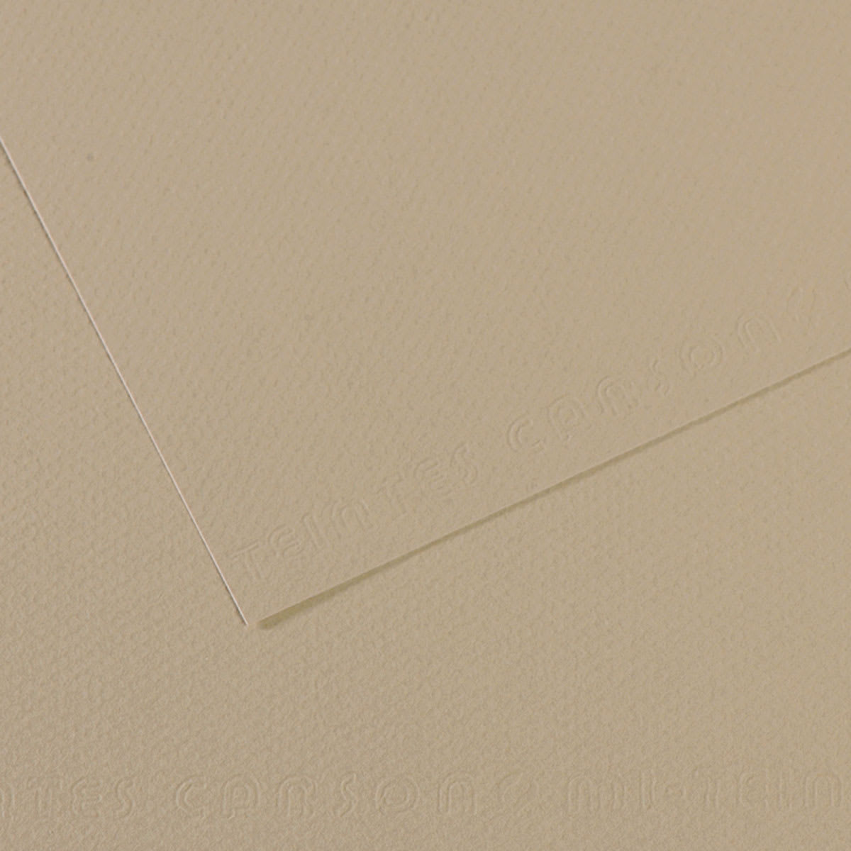 Canson Mi-Teintes Drawing Paper - 19" x 25", Pearl, Single Sheet
