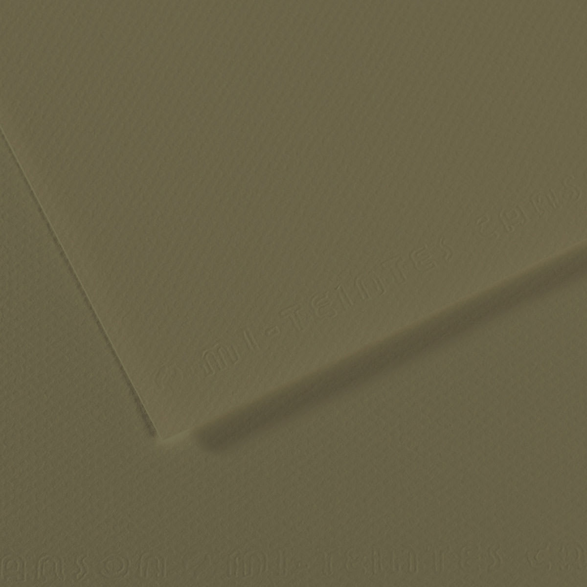Canson Mi-Teintes Drawing Paper - 19" x 25", Olive Green, Single Sheet