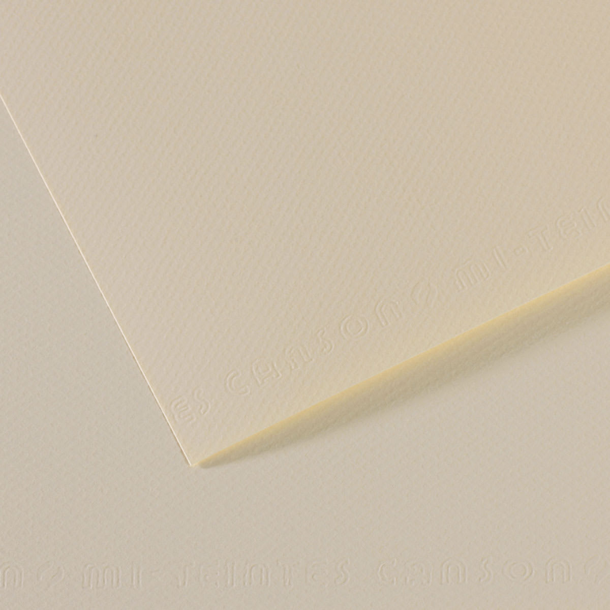 Canson Mi-Teintes Drawing Paper - 19" x 25", Lily, Single Sheet