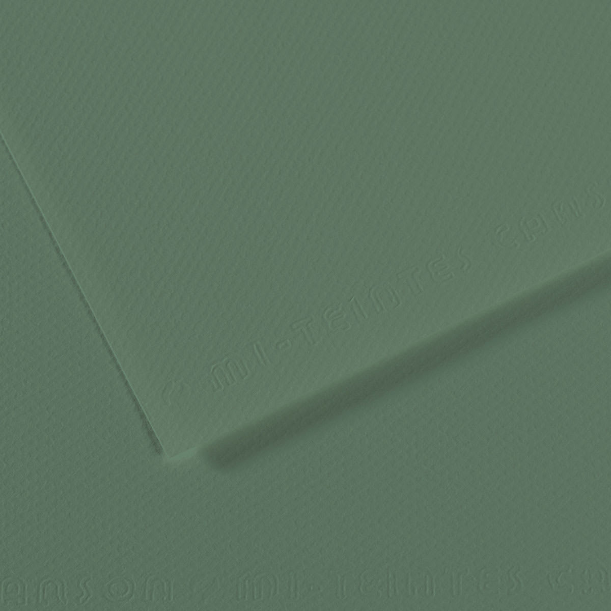 Canson Mi-Teintes Drawing Paper - 19" x 25", Sage Green, Single Sheet