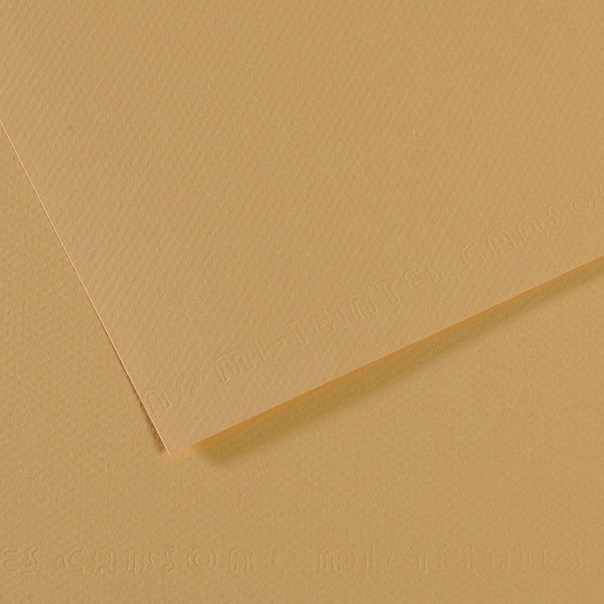 Canson Mi-Teintes Drawing Paper - 19" x 25", Oyster, Single Sheet