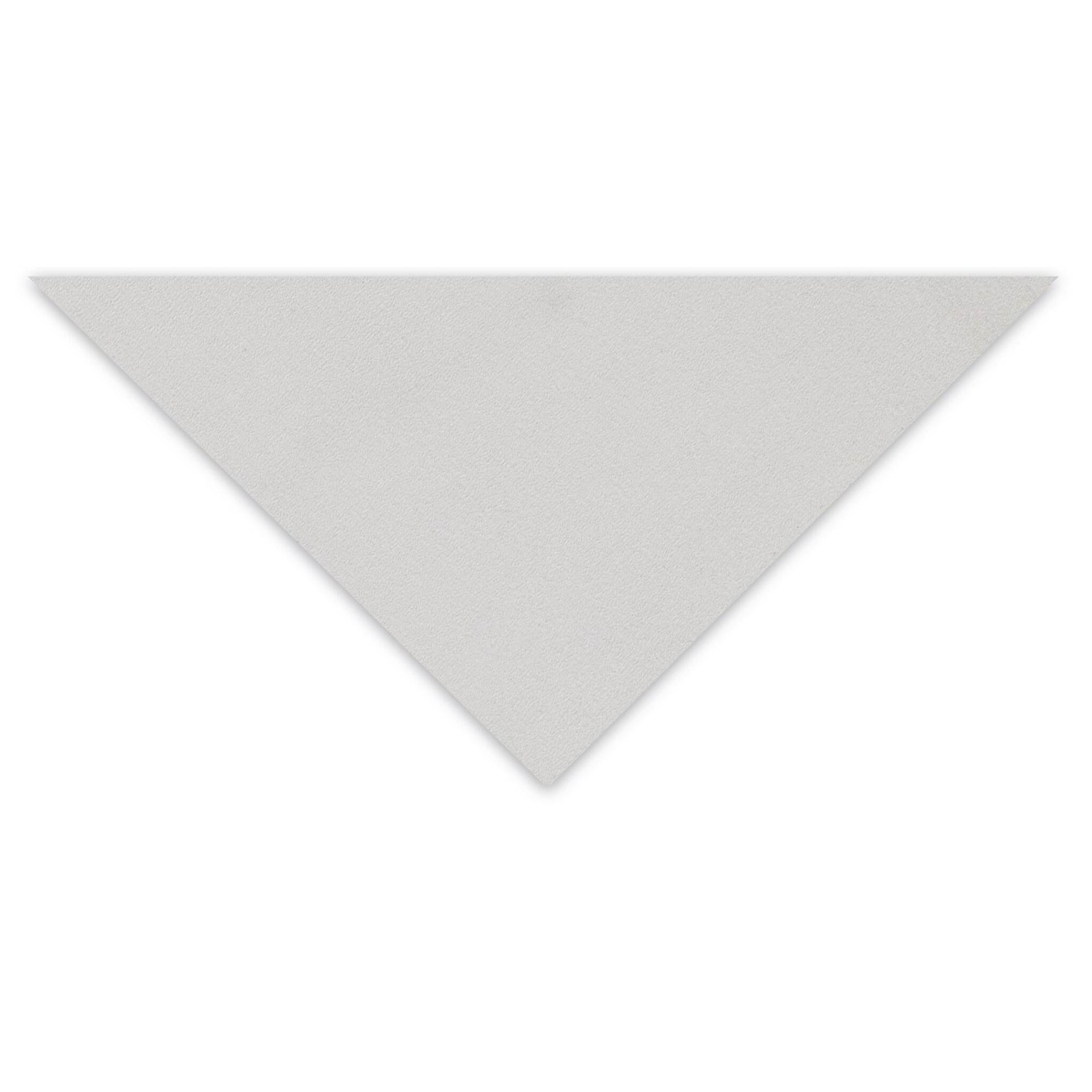 Clairefontaine Pastelmat Sheet - 27-1/2" x 39-1/2", Light Gray, 1 Sheet
