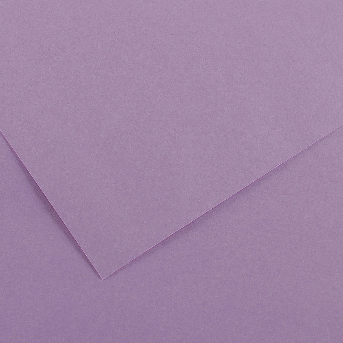 Canson Colorline Art Paper - 19" x 25", 300 gsm, Lilac