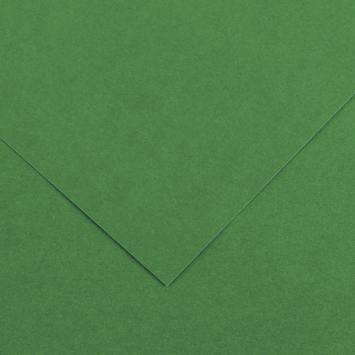 Canson Colorline Art Paper - 19" x 25", 150 gsm, Moss Green